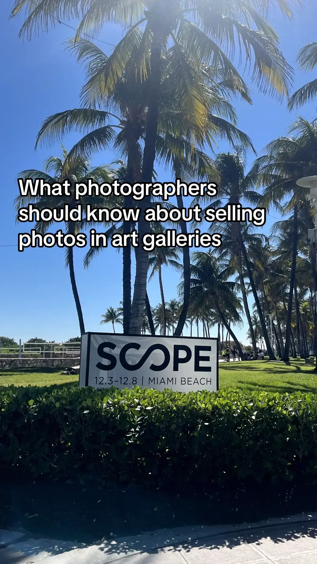 Exhibiting your photography in a show can take your work from admiration to acquisition. Whether it's at @Scope Art Show or another gallery, photographer Liza Gershman shares guidance around ways to approach exhibits to find success with making art sales. Featured work in images by lizagershman, tomsandersphoto, jakemyers, willfoerster, @Emily_Jahr_Co, @wesapple26, kylarysphoto, @Martine Severin918, dulcebautistafotos, chaseevert, & more photographers on #VSCO  #vscocam #scopeartshow #scopemiamibeach #scopemiami #miamiartbasel #photographytips #photographytiktok #photographyideas #photographersoftiktok #photographertips #photographer101 #sellingphotos #photographybusiness #photographybusinesstips #artgallery #photogallery #artshow #artexhibiton 