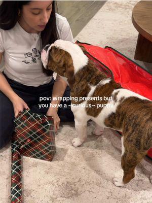 shoutout fiona for getting her slobber on all of the gifts from me this year 🥴🐶🎄🎅🏻 #christmas #wrapwithme #wrappinggifts #wrappingpresents #dogsoftiktok #dog #puppy #puppytiktok #puppiesoftiktok #fionathebully #bulldogsoftiktok #englishbulldog 