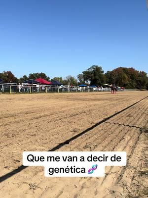 Un hatch patas verdes afirmativo 😂☝🏾🫠😬  #texas  #carrerasdecaballos❤️😍🐎🥇🏆🎖  #caballostiktok  #carrilesdeatlanta🏇🇺🇲💯  #carrerasdecaballos  #cuadracristorey🔰🏆  #caballosdecarreras🐎🐴💯  #memphis  