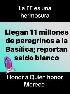 #virgen #guadalupe #mexico #patrona #reina #iglesia #catolica #catolico #tradicion #tepeyac #amor #madre #fiesta #cielo #mexicanos #emperatriz #america @Claudia Sheinbaum Pardo @Andrés Manuel López Obrador @Clara Brugada 