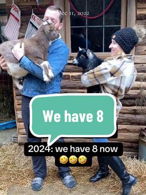 We have 8 kids now! How many more do you want from us mother? Gesh 🤣🤣🤣  OH- we have 0 human kids because trying to have a human baby is expensive!  #onthisday #goats #hobbyfarmlife #farminglife #thatgoatmama #kids #goatlife #wintertime #goatkids #infertility 