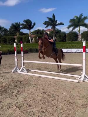 super excited to show tm!! #wellingtonfl #rideforchrome #hunterhorse #equestriansoftiktok 