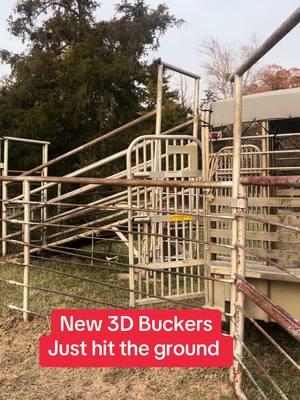 Buckers just hit the griund at 3D! #roadtrip #ranchlife #roughstockwearco #buckingbulls #bullriding #texas #smalltownliving #roughstocklife #westerninfluencer #rodeolife #countryliving #bullriders #viral #bossbabe #roughstockwife 