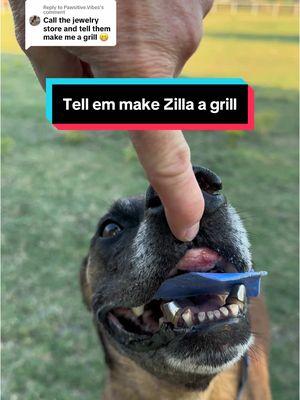 Replying to @Pawsitive.Vibes zilla is pretty fancy tho her grill might need some more bling. #zilla #godzilla #malinois #belgianmalinois #malinoisoftiktok #belgianmalinoisoftiktok #malinoisbelgian #malinoislife #malinoisworld #malinoislovers #malinoisdog #dogtok #dogsoftiktok #chatter #grillz #funnydog 