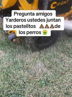 #yarderosperrones💪🏼🇲🇽 #yarderos #tips #paratiiiiiiiiiiiiiiiiiiiiiiiiiiiiiii #perr #mascota #perros 