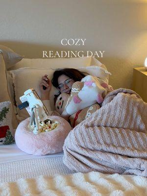 This is the perfect book for a winter read 🤭🫶🏼  #onedarkwindow #onedarkwindowbook #cozy #cozykindle #kindle #kindlegirlie #cozyreading #readingpillow #fyp #viral 