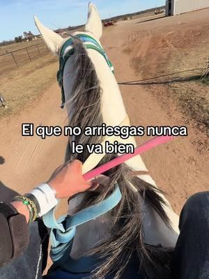 #jockey #quarterhorse #carrerasdecaballos #caballos #f #fypシ゚viral #paratii #fypage 