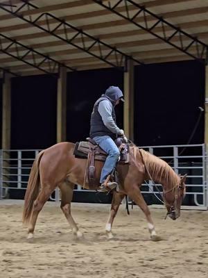 #Timotee thinks night rides are dumb.  #2yearold #horsesoftiktok #equestriansoftiktok #equestrian #equinelife #NextLevelPerformanceHorses #horsetrainer #horsetraining #ranchhorse #ranchriding #horseshowprep #showprep #horse #aqha 