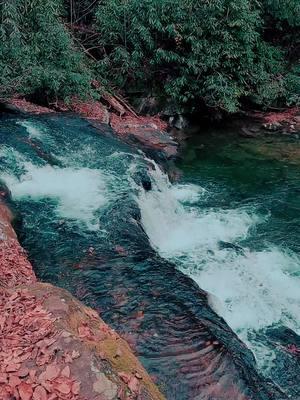 Nature Vibes in Georgia - Hemlock Falls Trail - Walking in Nature  #waterfall #waterfalls #nature #naturevibes #naturelove #naturelover #naturelovers #calming #positivevibe #peaceful #goodvibes #longwaydown #forest #forestvibes #photography #beauty #fyp #takeawalk #explore #trail #Hiking #hike #Outdoors #trails #lovetrails #positivevibes #natureisbeautiful #meditation #aestheticnature #timepass #lostworld #meditate #trailspinexplorer  #HiddenGems 