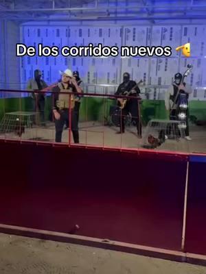 Algo bien 😂 #oztololoche #tololoche #contrabajo #doublebass #fyp #corridos #bass #fypage #requinto @Zaid Lopez @Dani-M @Jesus Mendoza 