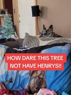 The absolutely aboose of a tree without Henry Cavill ORNAMENTS. HOW dare I!!  #rory #frenchie #henrycavill #thewitcher #christmas 