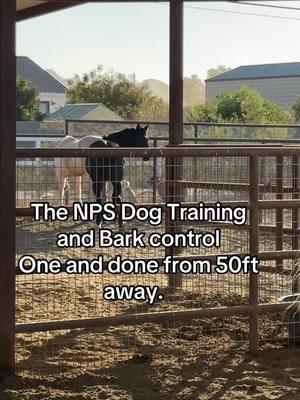 So I thought I wiuld take a chance on this @NPS bark deterrent device, we have 4 dogs and many neighborhood dogs that seem to bark all day long! Today was the day I caught the neighbors dogs barking at the horses. To my surprise this thing worked with one push of the button and from at least 50ft away. There is one ghibg a dog owner never hears is silence until now! They are wven on sale right now with a coupon for $30.99 honestly best money a dog owner can spend for peace and quiet! #sponsored #sponsoredobviously #npspetsusa #nps #dogsoftiktok #peace #quiet #LifeHack 