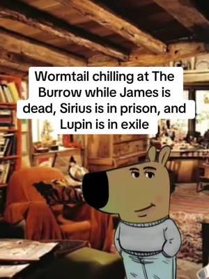 Sickens me to think how well cared for he was😡 #marauders #theburrow #peterpettigrew #avadakedavra #lilyandjamespotter #expectopatronum #patronuscharm #voldemort #deatheater #malfoymanor #hermionegranger #professormcgonagall #fredandgeorgeweasley #diagonalley 