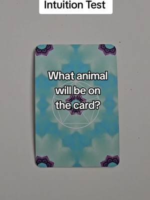 #intuitiontest ft #animalkinoracle - did your #intuition get it right? #intuitiongame #intuitionpractice #intuitiontraining #intuitiontiktok #intuitionchallenge #intuitionhelp #intuitionexercise   #intuitiondevelopment #trustyourintuition 