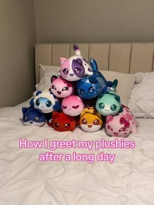 they light up my life🥹🫶 #meemeows #aphmau #plushies #plushcollector #plushtoys 