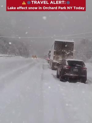 #snow #heavysnowfall #snowstorm #winter #winterstorm #winterdriving #wind #disaster #severeweather #weather #news #lakeeffectsnow #people #stranded #I90 #Ripley #NewYork #USA #foryou #viral