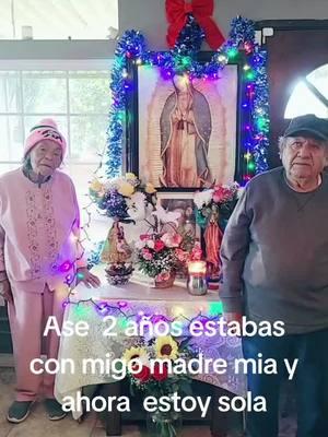 #elamordetuvida #paratupagina #amigosdelmedioanbiente #parati #virgendeguadalupe 