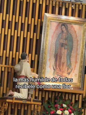 #gela #ativirgencita #madremia #ativirgencitamiguadalupana #teamomadre #madredeltepeyac #lalupita #virgendeguadalupe #elmontecaliornia #mimorenita 