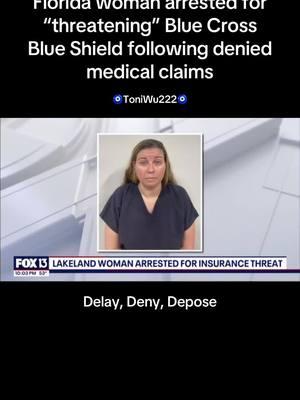 Saying Delay, Deny, Depose could now get you arrested for terroristic threats. 🫠😳🙃🏃🏾‍♀️💨 #universalhealthcare #Bcbs #floridablue #bluecrossblueshield #fyp #delaydenydepose 