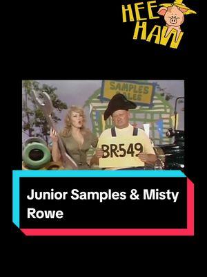 Happy Friday Funday! Here's a collection of Junior Samples and Misty Rowe doing their famous used car sales comedy sketches on Hee Haw. Remember, the number to call is BR-549. 🤣 #HeeHaw #juniorsamples #samplessales #mistyrowe #br549 #usedcars #carsalesman #cardealership #heehawhoneys #blonde #heehawcomedy #funnyvideos #funny #magictrick #napoleon #magic #comedy #heehawfans #bringbackheehaw #70stv 