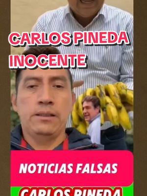 el empresario carlos pineda es inocente de toda acusacion,que circula en las redes sociales#carlospineda✏️ #carlospinedabananero #bananaenguatemala #platanodecarlospineda #carlospinedacapturado #noticiasobrecarlospineda #colombia #mexico #efrainorozco #mariaconsueloporrras #videoviral #netcenterdelgobierno #presidentearevalo #peten #policianacional #noticiadeultimahora #viralguatemala #fyp #parati #republicadominicana#belgica#orgullosadeguate🇬🇹♥️ #bananadeguatemala