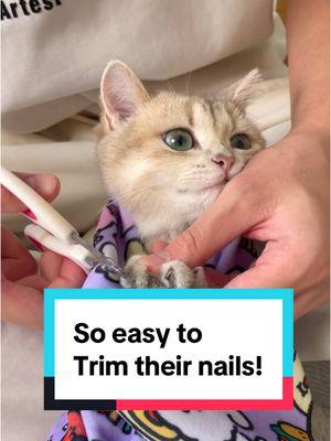 Let me teach you how to trim your fur friends nails in 1 min!! #catgrooming #trimnails #selfadhesive #magiccloth #tiktokmademebuyit #tiknova 