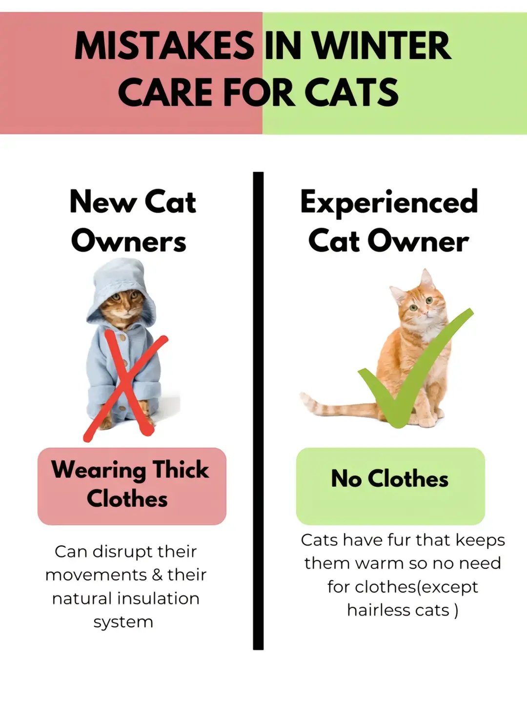 #cattok #catsoftiktok #catthings #fypシ #cats #newcatmom #newcatowner #newcat #newcats #catlover #cattok #catparents #catparent #catawareness #catmom #catcare #catneeds #catsafety #cathealth 