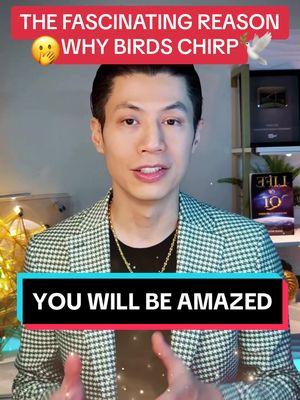 Did you know that birds' early morning songs have a powerful purpose? 🕊️ Find out the surprising reason behind their chirping in just 60 seconds! 🌅 #birdsongs #sunrise#poweroffrequency #kickstartyourday #worldawakening #iowa #curiosity#mindblown #sciencefacts #qicoil #fyp
