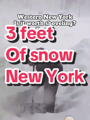 Another 3 feet of snow do you like winter or summer? #NewYork #hamburgny #Shoveling #Snow #Blizzard #News 