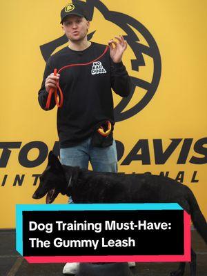 Finding the right leash makes all the difference in training. The gummy leash offers precision, control, and comfort for both you and your dog.  Check it out here: https://linktr.ee/tomdavis #DogTraining #DogLeash  #NoBadDogs #DogTrainer 