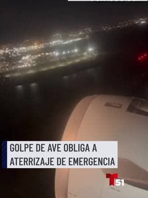 Un vuelo que partía de LaGuardia, Nueva York, con destino a Charlotte, Carolina del Norte, tuvo que realizar un aterrizaje abrupto en el Aeropuerto Internacional John F. Kennedy después de que un impacto de un pájaro provocara un incendio en el motor el jueves por la noche, según informaron las autoridades. El video capturado por un productor de WCNC Charlotte parece mostrar cuando un ave entra en el motor momentos después del despegue y se produce una bola de fuego. Los pasajeros del vuelo 1722 de American Airlines recibieron alojamiento en un hotel y una nueva salida programada para el viernes por la mañana. #nuevayork #americanairlines #charlotte 