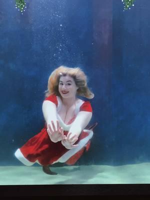 #fyp #mermaid #rose_the_mermaid #mermaidtail #siren #finfolkproductions #bluezoo #bluezooaquariums #bluezoobatonrouge #bluezooaquariambatonrouge #aquariummermaid #aquarium #bluezoopod #bluezoomermaids #bluezoomermaid #christmas #christmascountdown #happyholidays #holidays #christmas2024 #holiday #december @Finfolk Productions @Blue Zoo Aquariums 