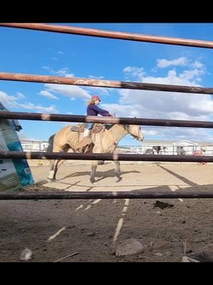 My first time riding Biscuit #rockinkhorses #biscuit #buckskinhorse #buckskinmare #problemhorse #horsetraining #roundpen #roundpentraining #roundpenwork #firstride #SpringervilleAZ #Arizona #azhorselife #random #randomvideo #FNX #FNXelite #fnxfit #fnxambassador #hygainfeeds 