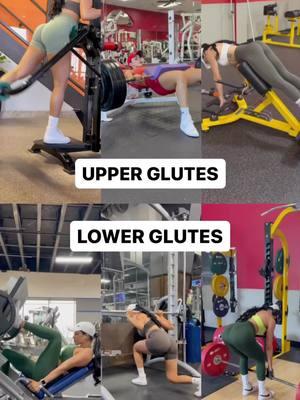 When trying to get full glute development it’s important to understand there’s both an upper and lower division of the glutes.  The upper division is the more dynamic of the two, and is more capable of doing external rotation and some abduction of the hip.  Where the lower division is mostly a pure hip extensor.  So to bias divisions of the glutes we want to both create peak resistance where a regional area will have adaptations and work the primary functional component.  For the lower glute fibers this means we want to both train and load in the longer muscle length position.  For the upper glute fibers, this means we want to both train and load in the short muscle length.  Shortened: Bridges/thrusts  Kickbacks  45° glute raise Lengthened: Romanian deadlifts  Lunges Leg press Now offering a FREE 7 day trial to my app📲💜 Access 25+ programs, track sets/weight/reps, form checks, ask me questions, community chat, track nutrition and more! #glutes #fitnessmotivation #gymgirl #GymTok #glute 