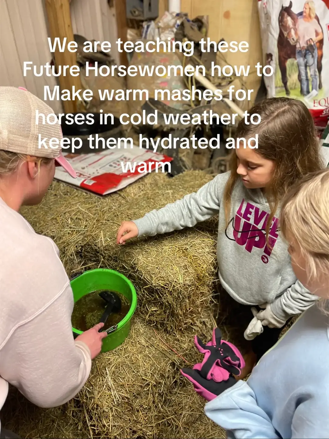 In addition to feeding our horses sosked beet pulp with their meals twice a day during this cold weather we also feed soaked alfalfa pellets as a nutricious treat, and warm mashes made of Purina Omolene 200, Purina equine Senior, and warm water to provide extra fiber and hydration to help keep their digestive systems moving. It is very important to teach our future horse women about the care and responsibility of horses. #h#horsetokh#horseh#horsegirla#americandreamfarmh#horseloverh#horsesoftiktokh#horsesontiktokh#horsemanshiph#horsehusbandryw#warmmashf#feedinghorsesh#horsecareh#horsewomeng#getthemstartedyoungp#purinas#standleeb#beetpulp