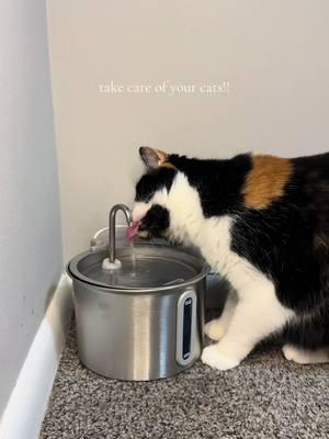 only the best for my babies  #cat #cats #catsoftiktok #catmom #catlover #cattok #pet #PetsOfTikTok #catwaterfountain #water #waterfountain #healthy #healthcare #animal #animals #animalsoftiktok #tiktokmademebuyit #TikTokShop #fyp #fypシ #fypシ゚viral #fypage #fyppppppppppppppppppppppp #trend #trending #fashion #fashiontiktok  #autumnsale #treasurefinds #sale #falldealsforyou #sunsetsavings #seasonalessentials #ttslevelup #septemberfinds #tiktokshopblackfriday #tiktokshopcybermonday #holidayhaul #spotlightfinds  #feelinggreatinoqq #SuperBrandDay #tiktoksuperbrandday #shophalloween #OctoberFinds #TreasureFinds #CatDays #CozyHome #CozyHomeCountdown #NewSeasonEssentials #novemberfinds #christmas #gift #giftideas #girlgifts #girlfriendgift #giftideasforher #blackfriday #cybermonday #sale #sales #flashsale #ttstakeover #sleightheday #petcare #petcaretips 