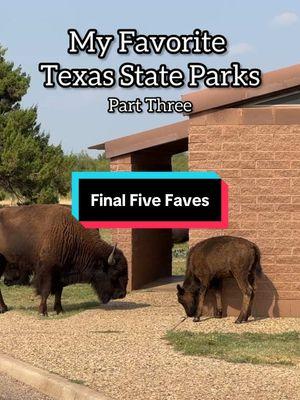 The final installment of my favorite @texasstateparks after visiting all of them in one year: - Caprock Canyons State Park  - Balmorhea State Park  - Seminole Canyon State Park & Historic Site  - Monahans Sandhills State Park  - Enchanted Rock State Natural Area  🧢👕: @Chill Country  🩳: @Bearbottom  #texas #texasstateparks #caprockcanyonstatepark #balmorhea #seminolecanyonstatepark #monahanssandhills #enchantedrock