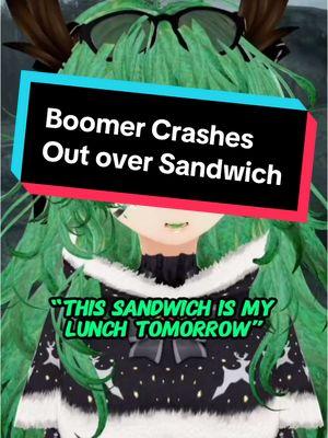 I dont like this boomer #creatorsearchinsights #storyontiktok #caretaker #nurse #femboyvtuber #cutevtuber #boomer #heartpatient #envyam #envyvtuber 