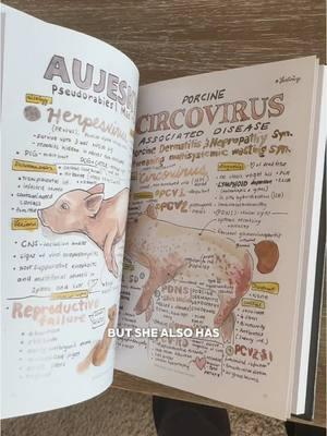 Check out her stuff!!! @Dr. Leatrize vet artist #vetmed #vetschool #veterinaryschool #veterinarymedicine #anatomy 