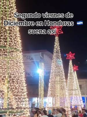 Lo que más extrano de las navidades en Honduras es mi familia junta 🥲 #honduras #catracha #catrachosenlausa #hondurenosenusa #humor #catracha🇭🇳 #catracho #caliche #hondurenas #tegucigalpa 