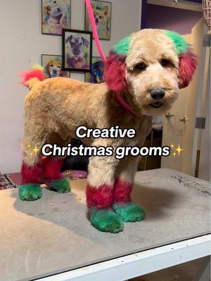 Creative Christmas grooms 💚❤️🎄  • • • • • #doggrooming #atlantadoggroomer #creativegrooming #creativegroomer #christmas #christmastiktok #christmasdog #christmasdogs #dogs #doglover #doglove 