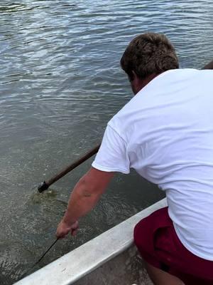 Catching some wild louisiana catfish🐟🐟🐟🐟#atchafalayabasin #louisianacheck 