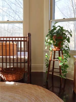 An almost complete nursery!! Just waiting on curtains, little sis' mobile, + a few more odds and ends. I figured I give a little sneak peek of how it's all coming together. I'm loving the soft feminine + vintage feel. I can't wait to be rocking and nursing my little girlie in this room #motherhood #momtok #TrueLove #happyhome #nursery #nurseryinspo #vintagenurserydecor #nurseryroom #thriftedhome 