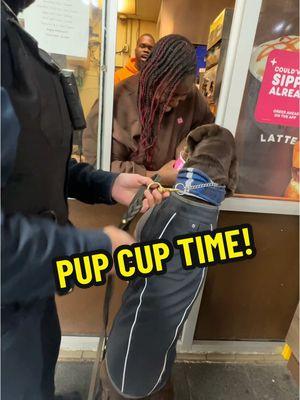 Community relations at her finest!!! Well deswrved pup cup! #k9rozi #k9rozispack #k9 #gspsoftiktok #k9softiktok #dogsoftiktok #pupcup #dunkindonuts @DunkinDonutsOfficial #dogscute #k9life 