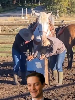 working with horses be like 🫠#work #workvibes #workshenanagins #shenaningans #messingaround #clowningaround🤡 #clowningaround #clownisaclown #horsetrainingtips #horsesoftiktok #wy #wyoming #duderanch #dudehorse #jackson #jacksonhole #jacksonholewyoming #CapCut 