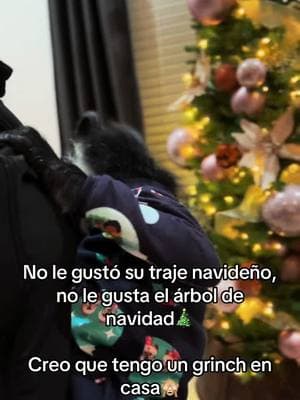 #grinch #chrismastree #navidad #monkey 