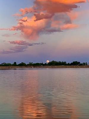 The Gemini Full Moon Dec 15th feels charged with both completion and initiation. Trust in the questions themselves. #moon #sunset    #nature# #sunsetbeach #sky #cloudmagic #beautifulnature  #natureinspired #sunsetglow #sunsettiktoktrend #sunsets  #lake #reflection #nature #natureinspired #foryou #typ #naturetiktok #naturevibes  #natureismytherapy #explorenature #sunsetlover 