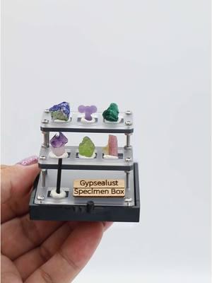 We are so excited to share the launch of our new Gypsealust Specimen boxes! Perfect way to start or add to your crystal collection! Now available on our shop ✨  . . #gypsealust #shopgypsealust #gypsealustgems #gypsealustspecimenbox #specimenbox #specimen #crystalspecimen #crystal #crystals #mineral #crystalcollection #crystaltok 