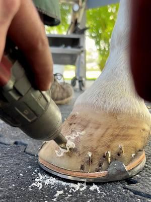 #farrier #farriersoftiktok #horse #asmr #animalwelfare #satisfying #horseshoe #hoof #care 