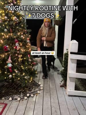 if you wanna go to bed early, don’t have 7 dogs 😂 its not for the weak #dogmom #dogtok #lifewithdogs #dogmomsoftiktok #dogsoftiktok #nightlyroutine #nightroutine #Vlog #dayinmylife #dogparent #doglife #dogparentsoftiktok #Vlogmas 